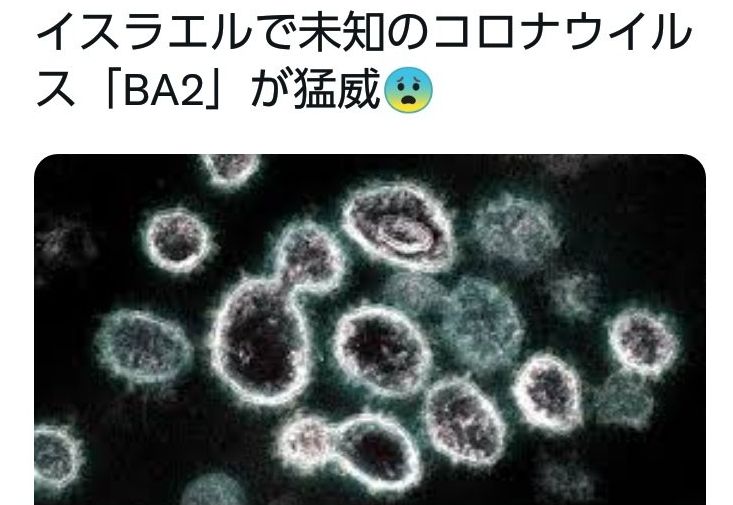 オミクロンじゃ驚かなくなったから今度はBA2だってさ「未知のウイルス」だそうだｗｗｗ