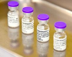 政府、今夏にもワクチン４回目接種の開始想定…「すでに必要な数の見通し立っている」