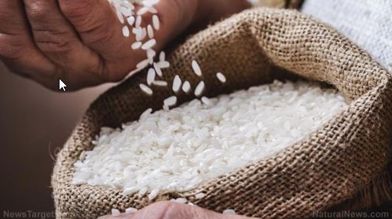 米の危機到来：肥料価格の高騰がアジアの米生産を脅かす　Arsenio Toledo